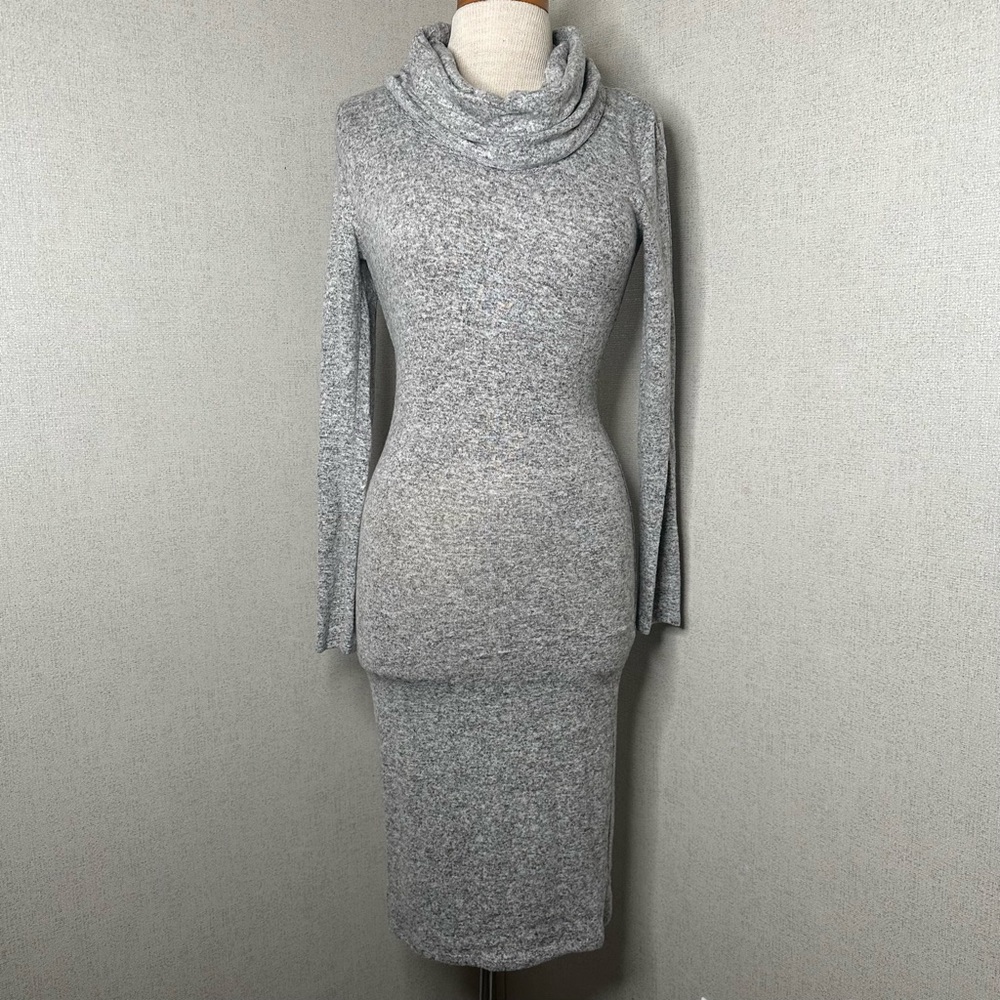 Sans Souci Long Sleeve Turtle Neck Dress